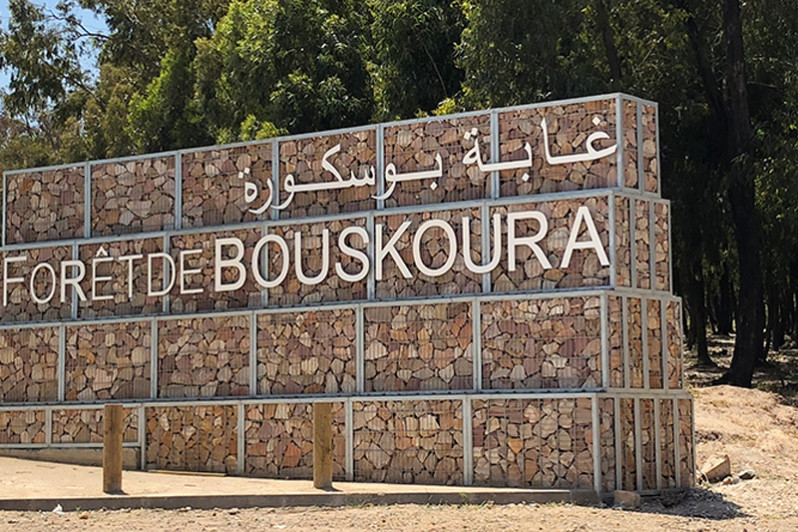 extérieur forêt bouskoura